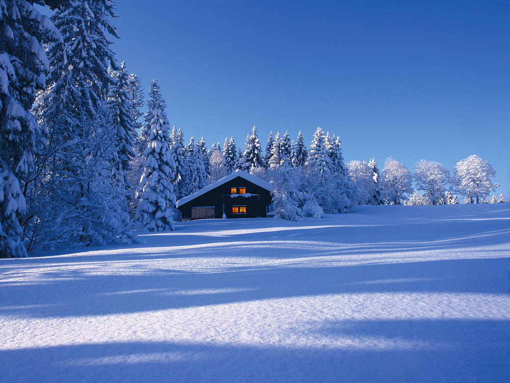 zur &Uuml;bersicht Weihnachtszeit 12
