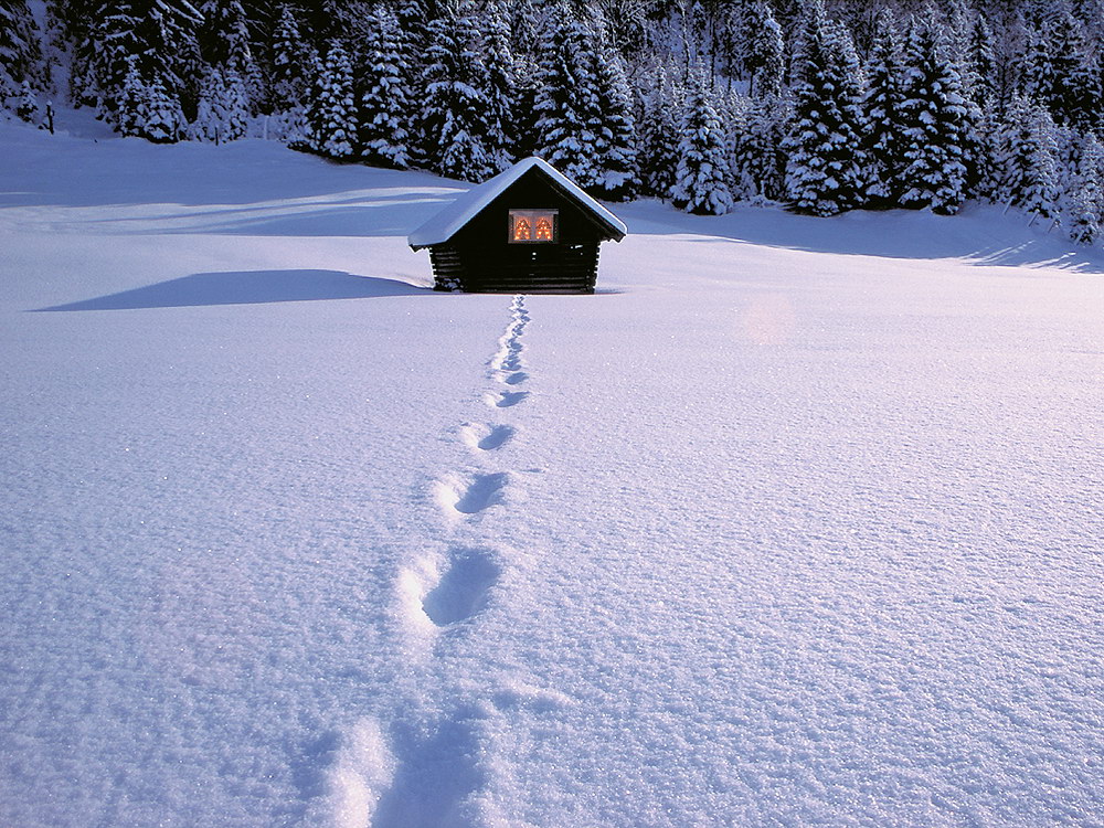 zur &Uuml;bersicht Weihnachtszeit 12