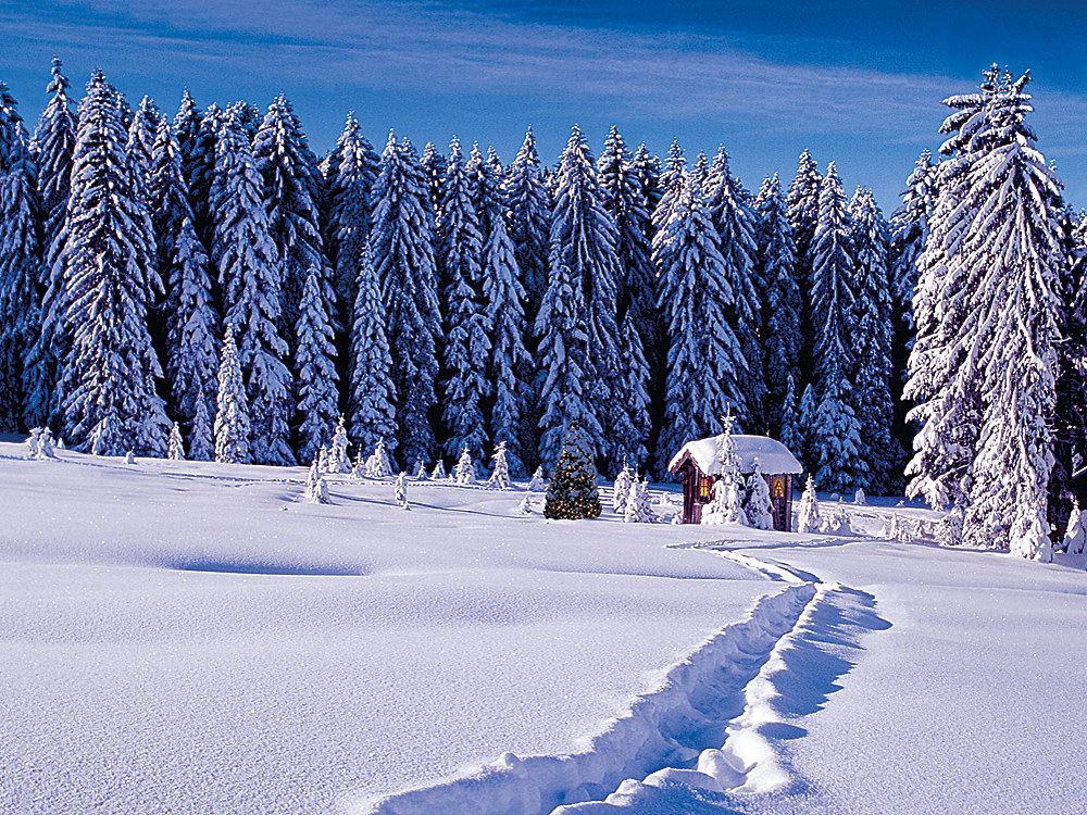 zur &Uuml;bersicht Weihnachtszeit 12
