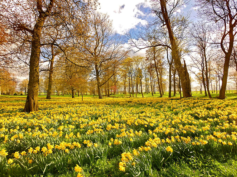 zur &Uuml;bersicht Wiesen 3
