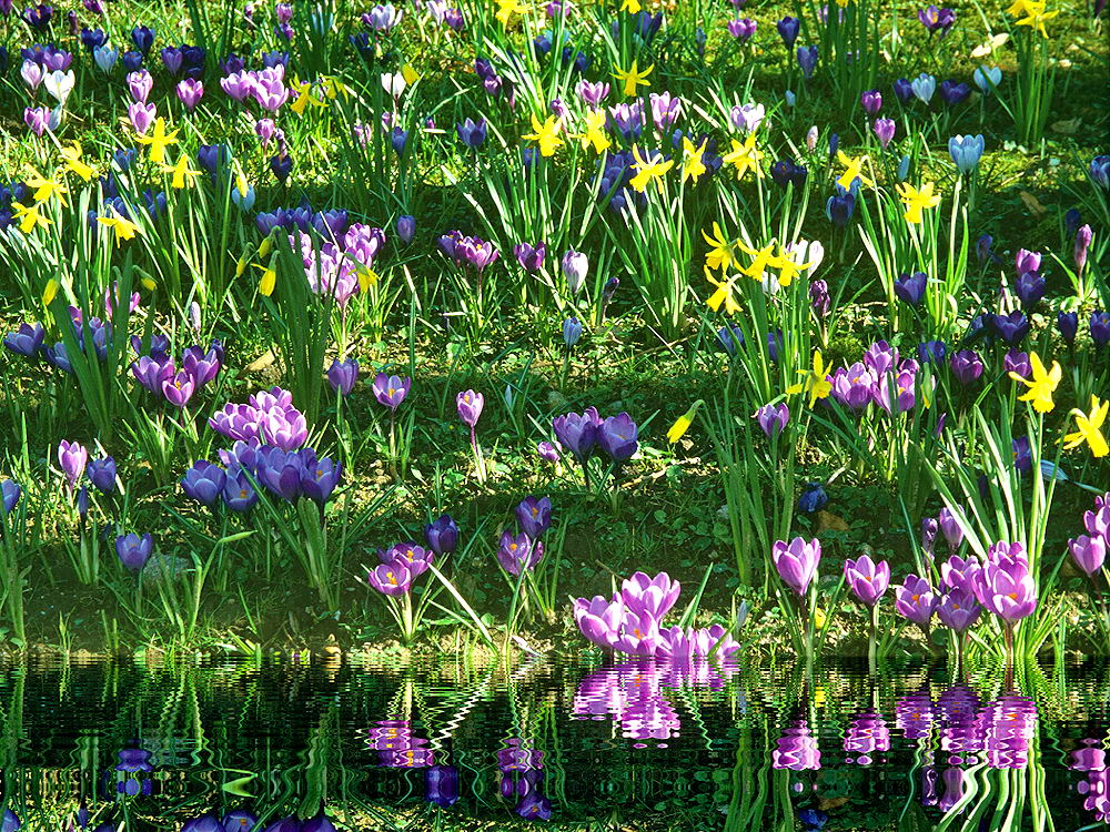 zur &Uuml;bersicht Wiesen 3