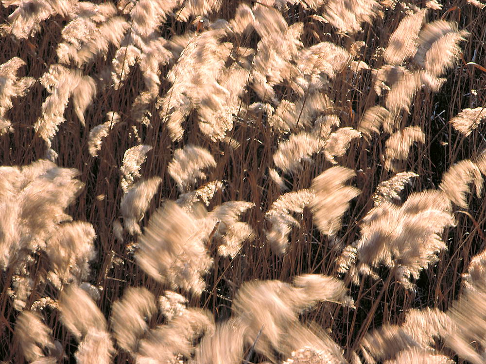 zur &Uuml;bersicht Wind 2