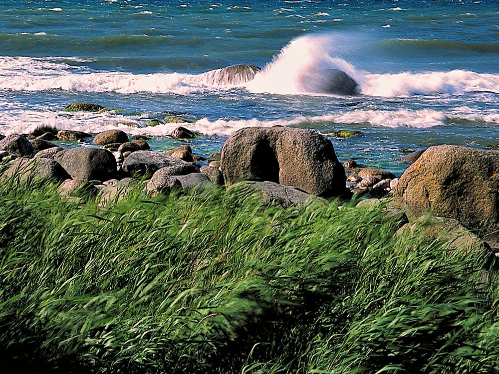 zur &Uuml;bersicht Wind 2