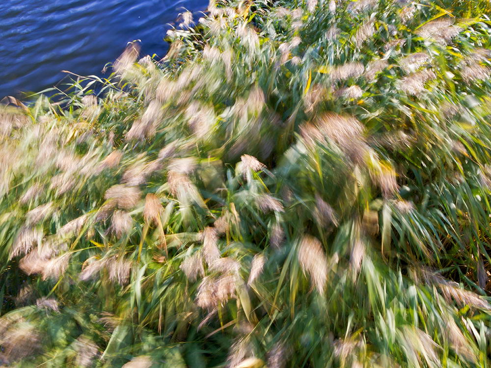 zur &Uuml;bersicht Wind 2