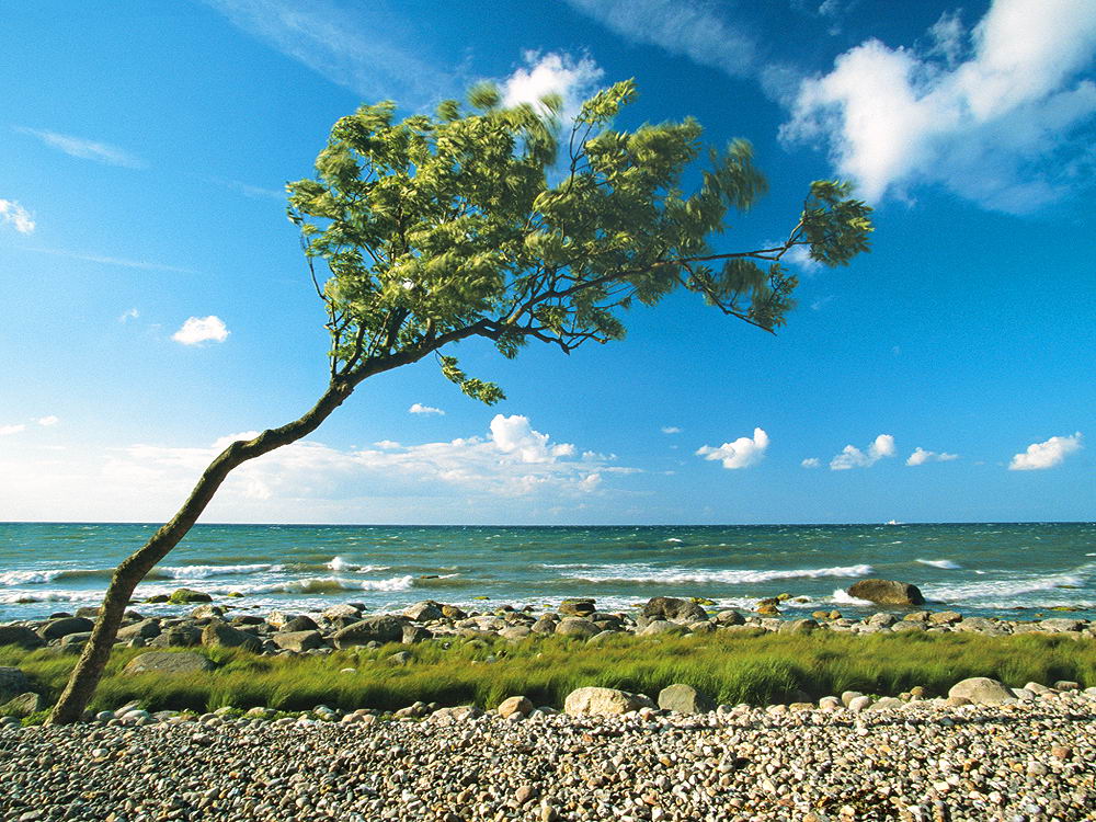 zur &Uuml;bersicht Wind 2