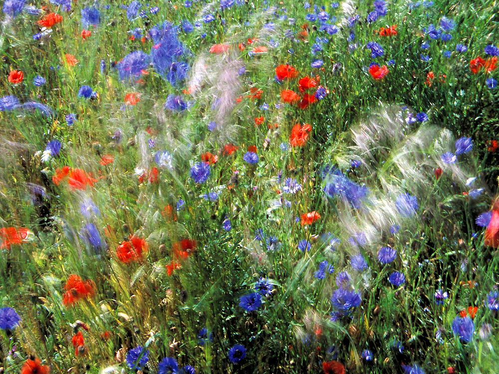 zur &Uuml;bersicht Wind 2