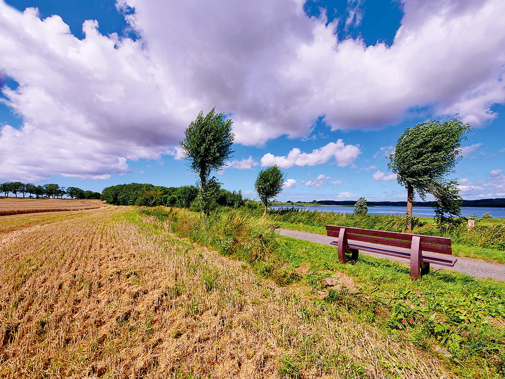 zur &Uuml;bersicht Wind 2