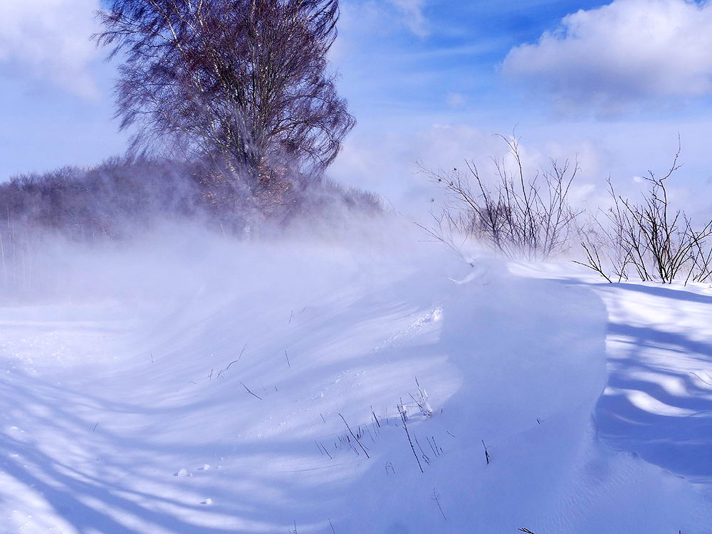 zur &Uuml;bersicht Wind 3