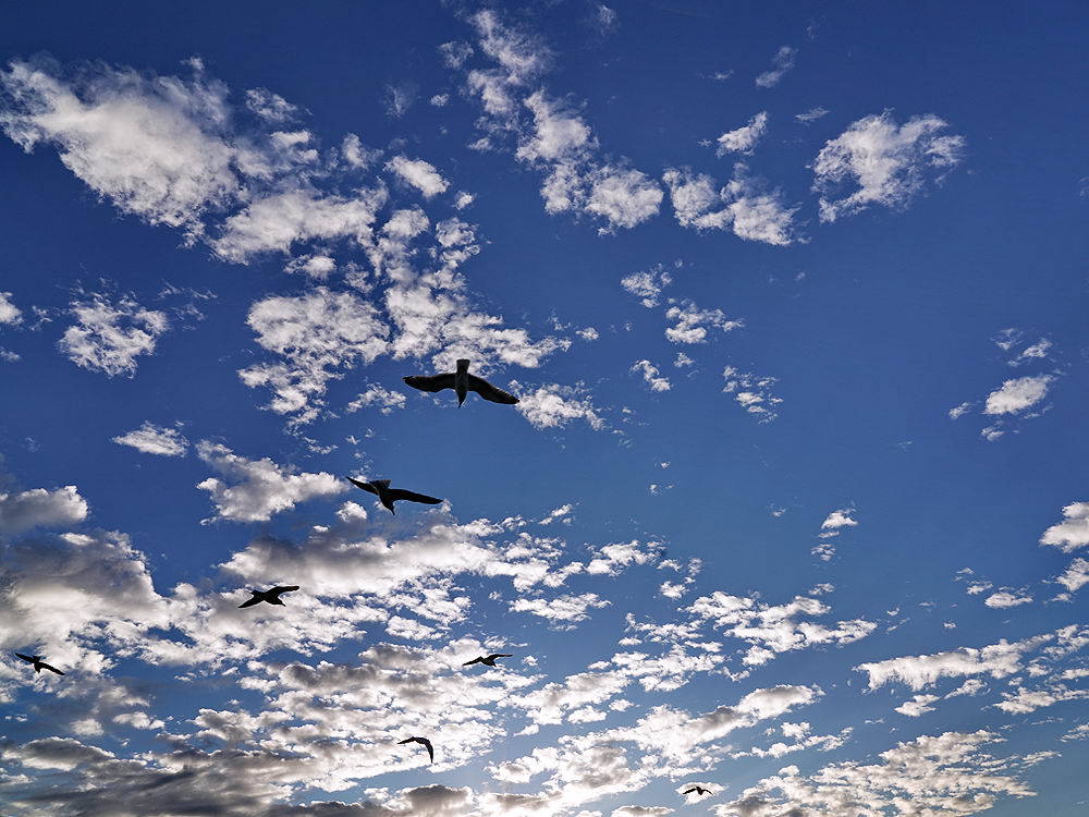 zur &Uuml;bersicht Wind 3