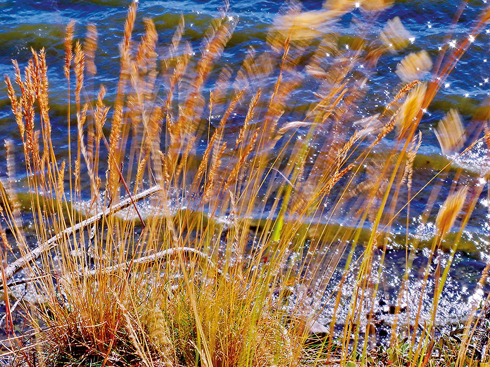 zur &Uuml;bersicht Wind 3