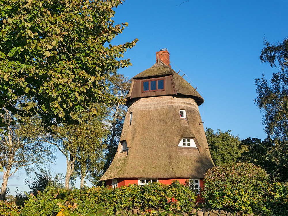 zur &Uuml;bersicht Windr&auml;der 3