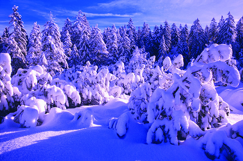 zur &Uuml;bersicht Winterzauber 4