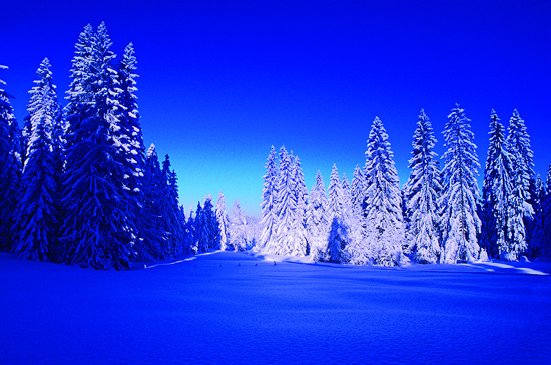 zur &Uuml;bersicht Winterzauber 4