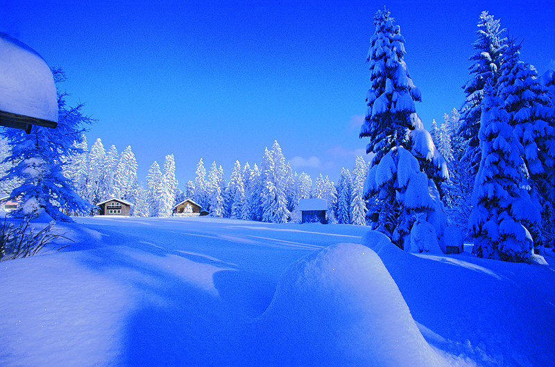 zur &Uuml;bersicht Winterzauber 4