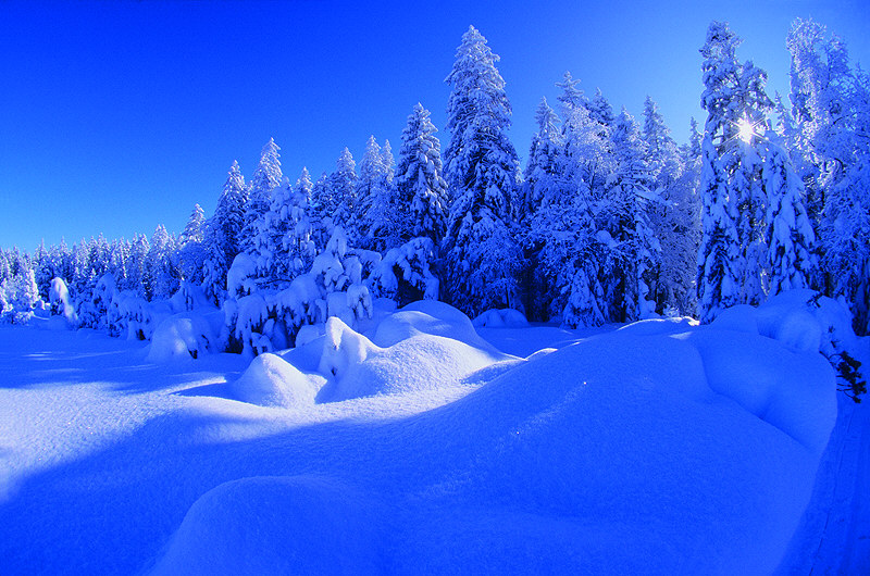 zur &Uuml;bersicht Winterzauber 4