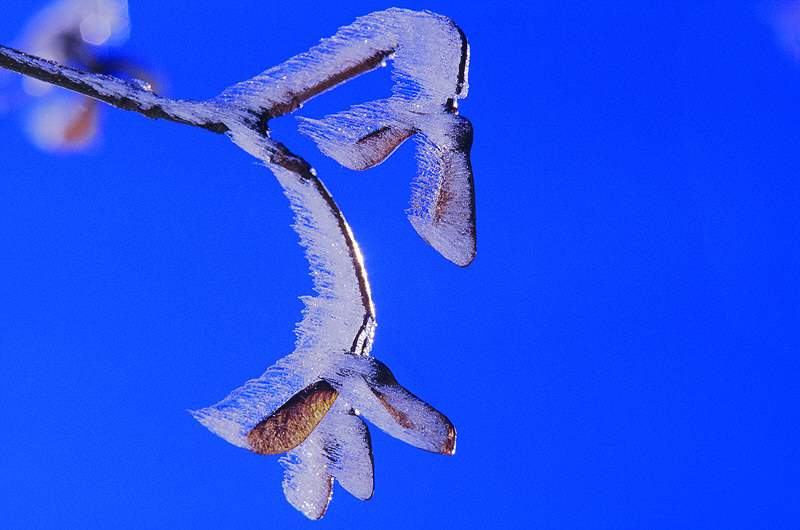 zur &Uuml;bersicht Winterzauber 5