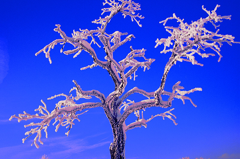 zur &Uuml;bersicht Winterzauber 5