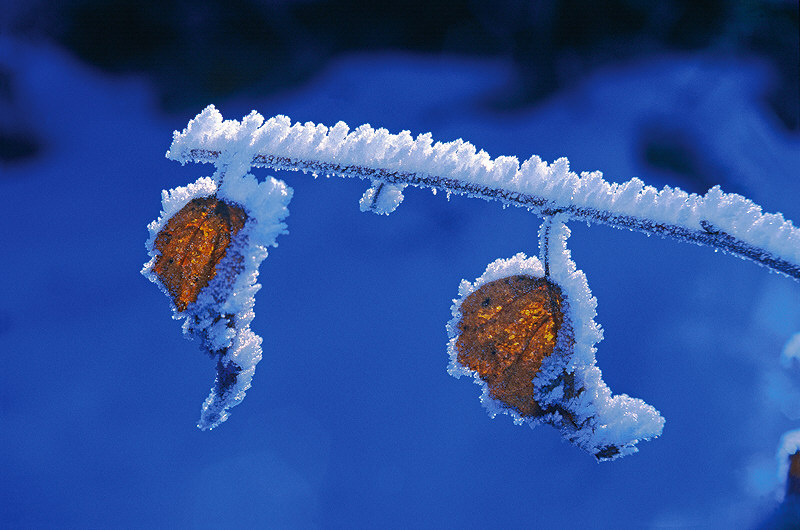 zur &Uuml;bersicht Winterzauber 5