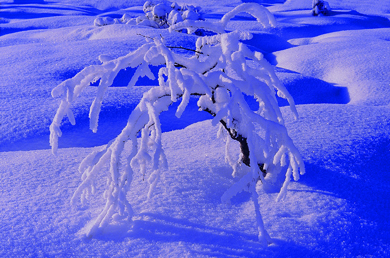 zur &Uuml;bersicht Winterzauber 5