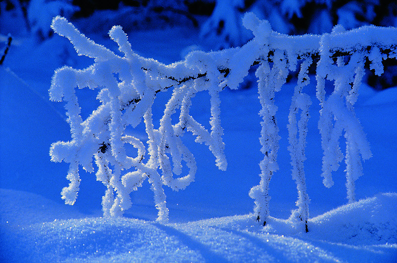 zur &Uuml;bersicht Winterzauber 5