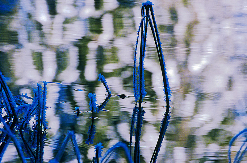 zur &Uuml;bersicht Winterzauber 6