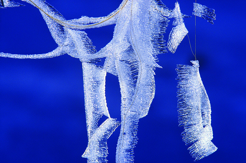 zur &Uuml;bersicht Winterzauber 6