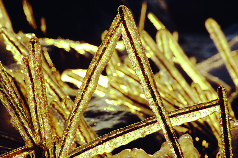 zur &Uuml;bersicht Winterzauber 6