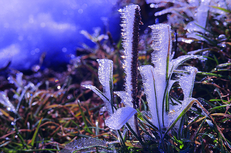 zur &Uuml;bersicht Winterzauber 6