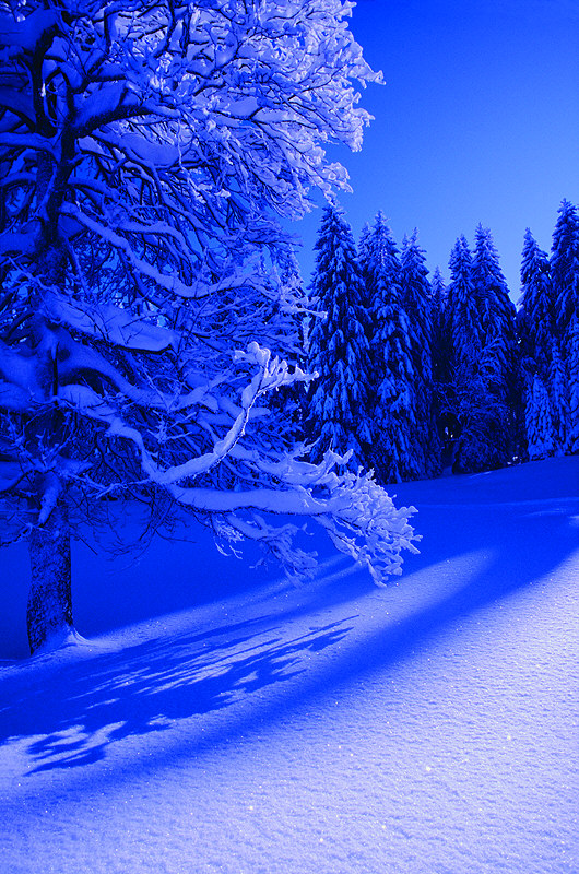 zur &Uuml;bersicht Winter 7