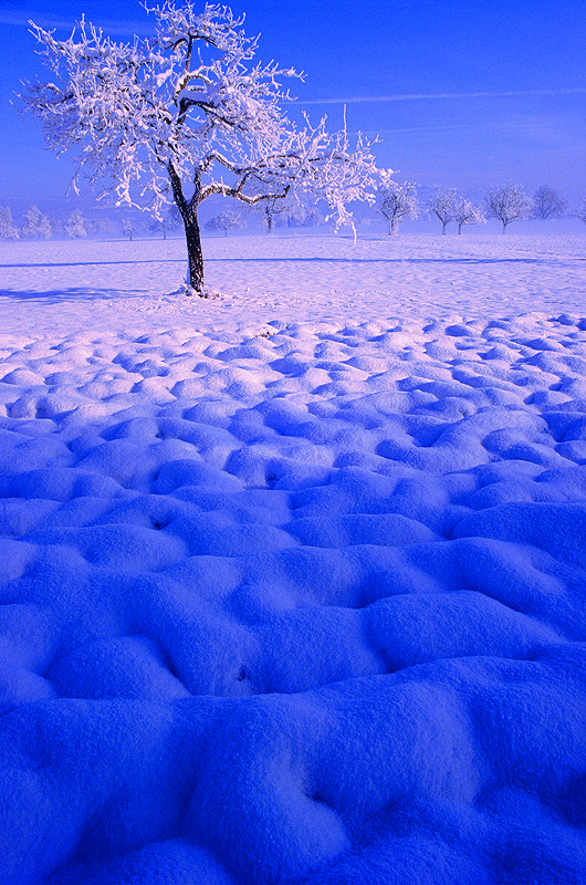 zur &Uuml;bersicht Winter 7