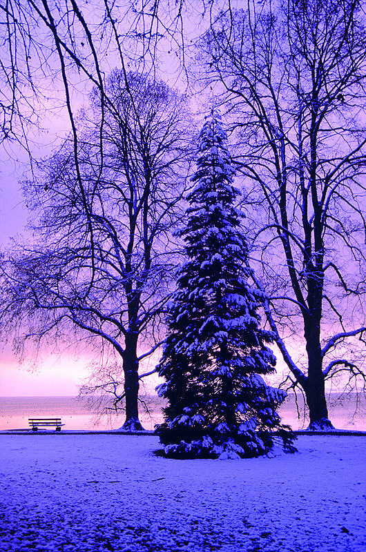 zur &Uuml;bersicht Winter 7