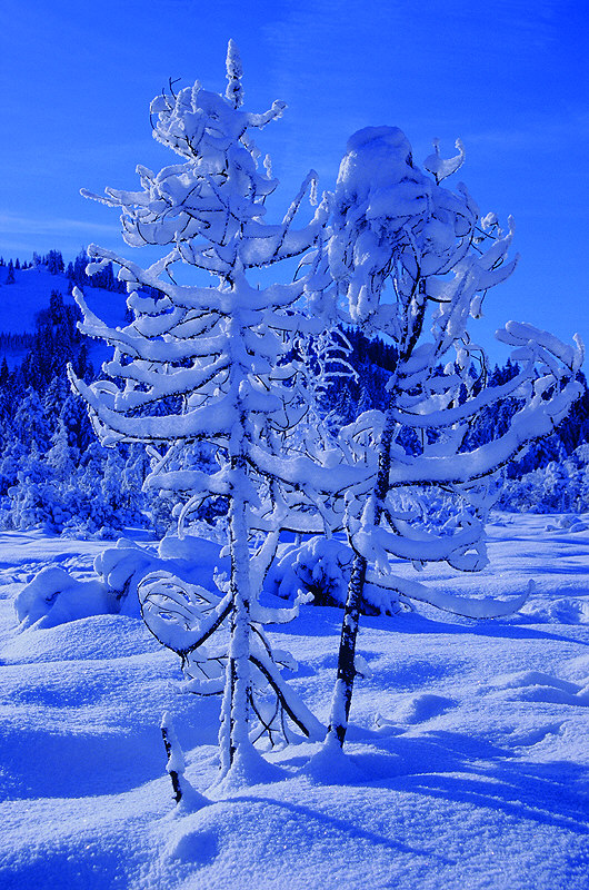 zur &Uuml;bersicht Winter 7