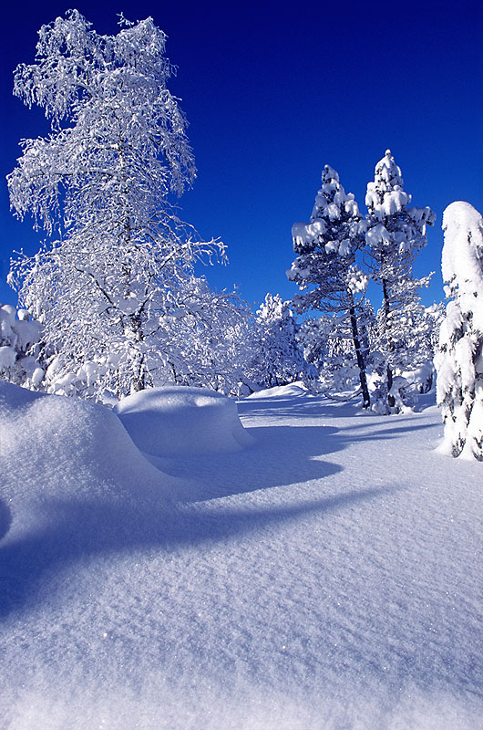 zur &Uuml;bersicht Winterzauber 8