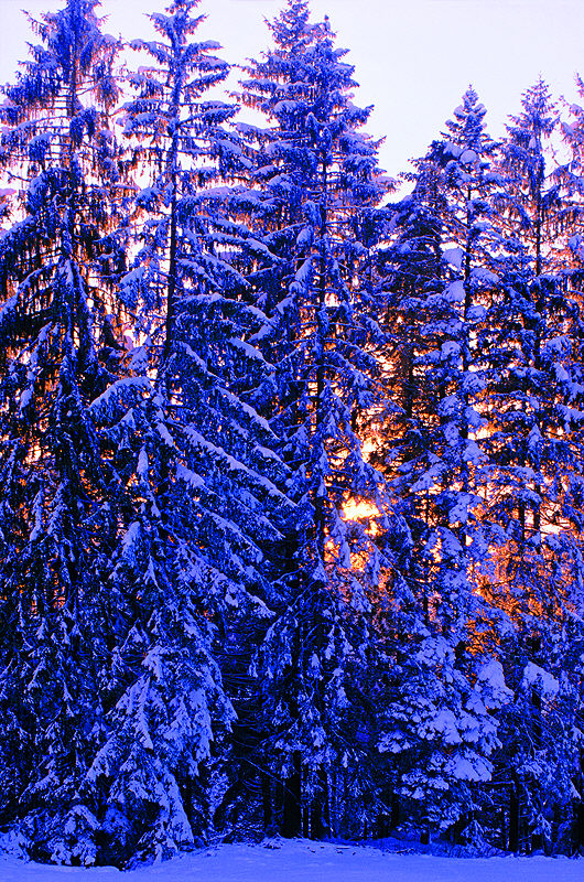 zur &Uuml;bersicht Winterzauber 8