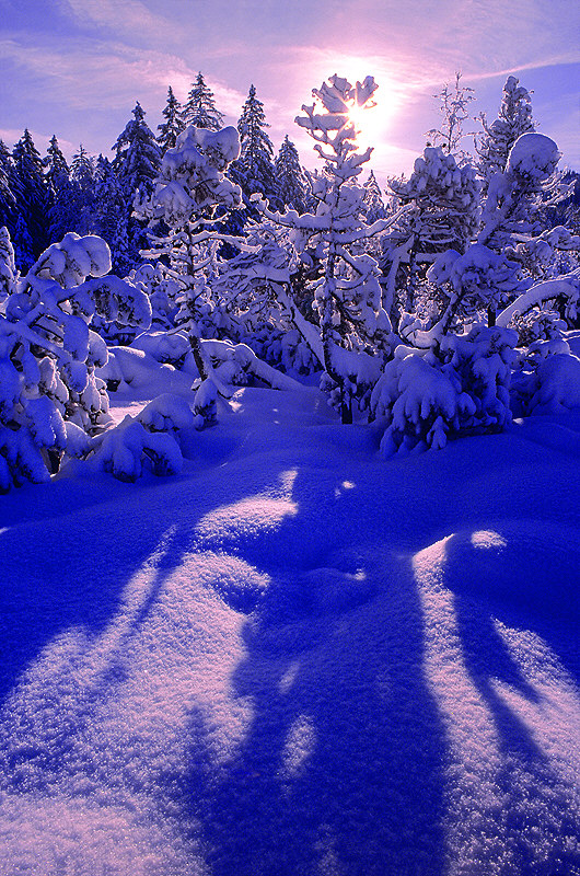 zur &Uuml;bersicht Winterzauber 8