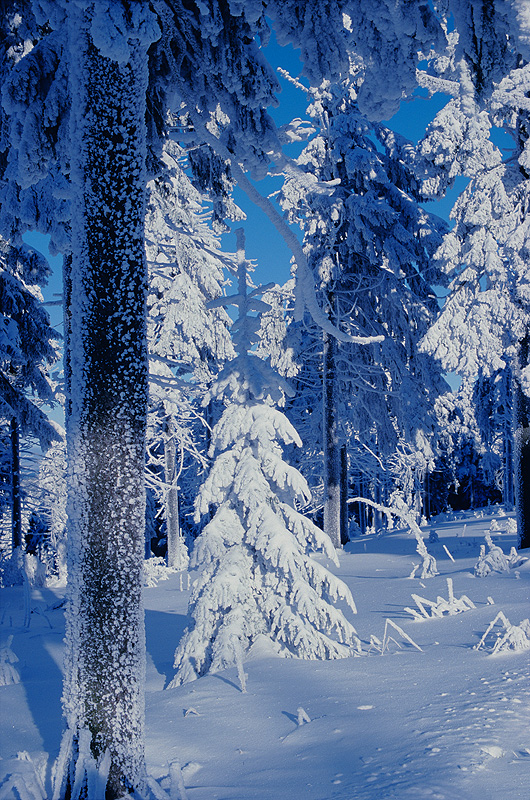 zur &Uuml;bersicht Winterzauber 8