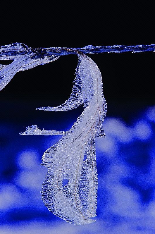 zur &Uuml;bersicht Winterzauber 8