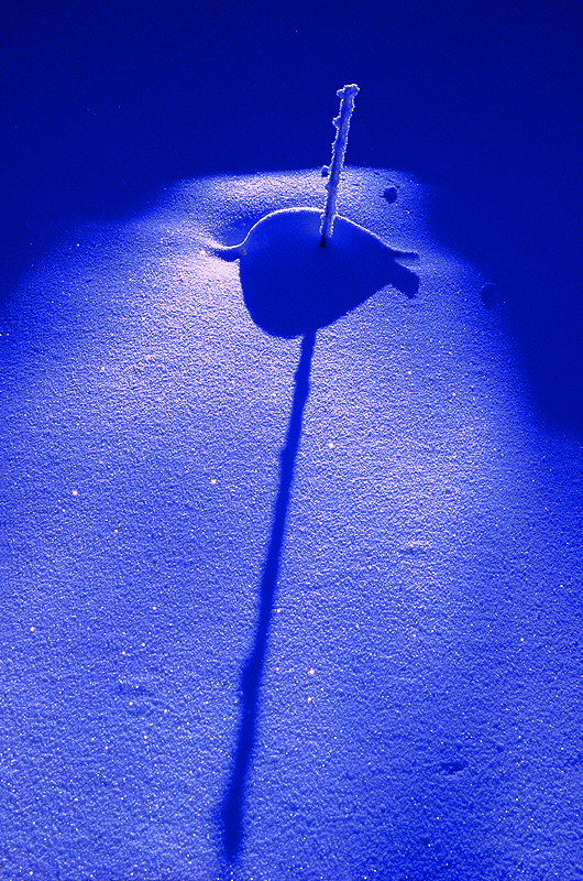 zur &Uuml;bersicht Winterzauber 8