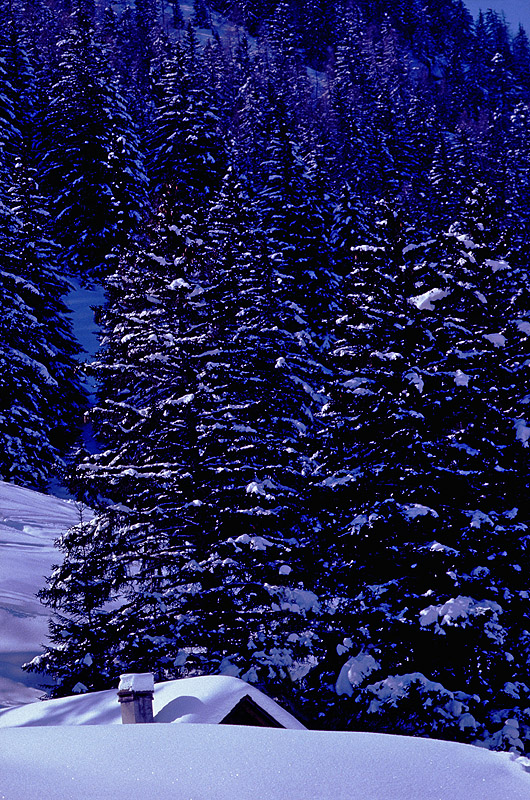 zur &Uuml;bersicht Winterzauber 8