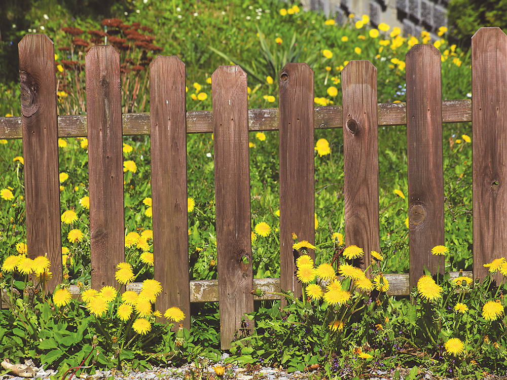 zur &Uuml;bersicht Zaung&auml;ste 4