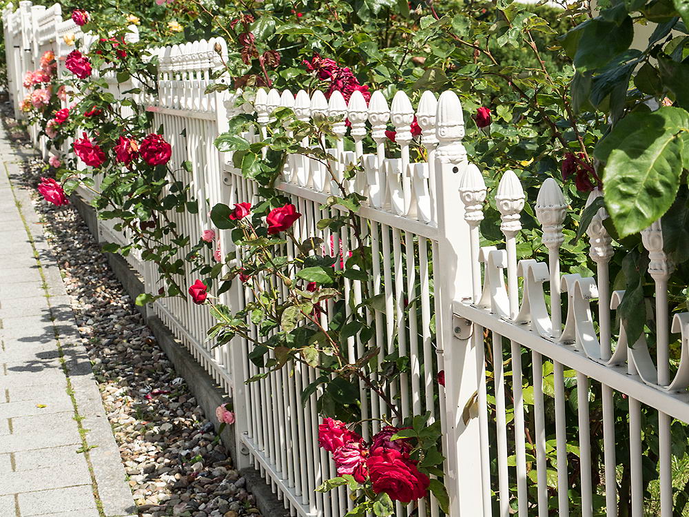 zur &Uuml;bersicht Zaung&auml;ste 6