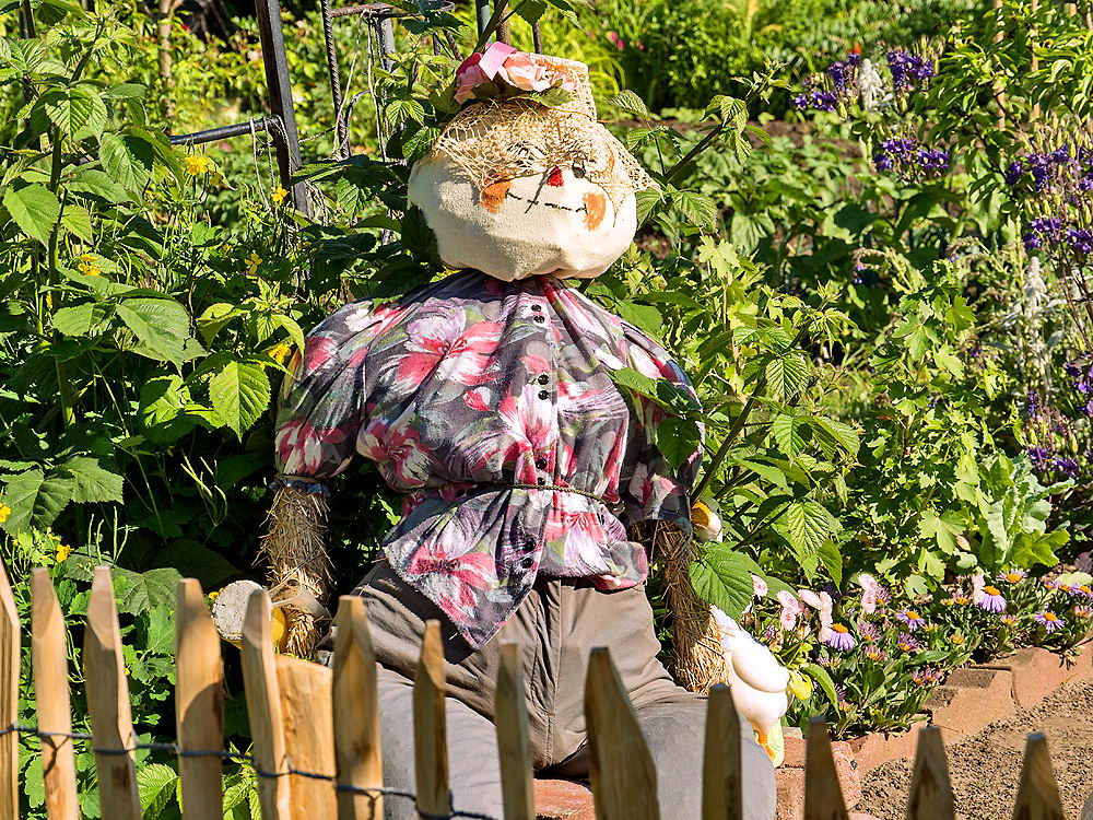 zur &Uuml;bersicht Zaung&auml;ste 7