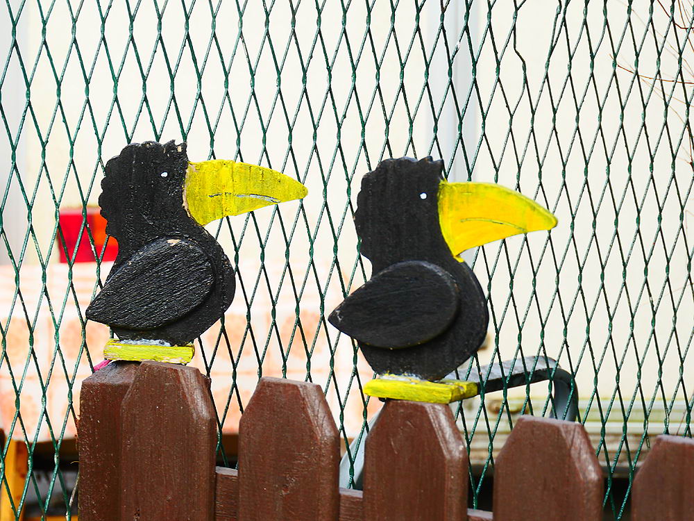 zur &Uuml;bersicht Zaung&auml;ste 7