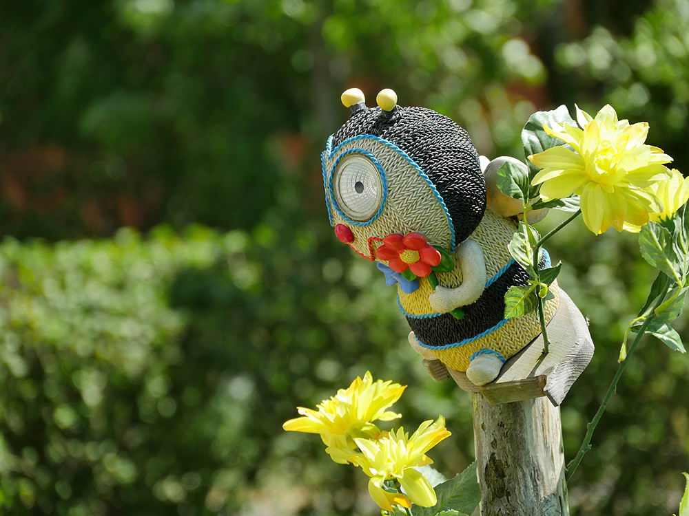 zur &Uuml;bersicht Zaung&auml;ste 7