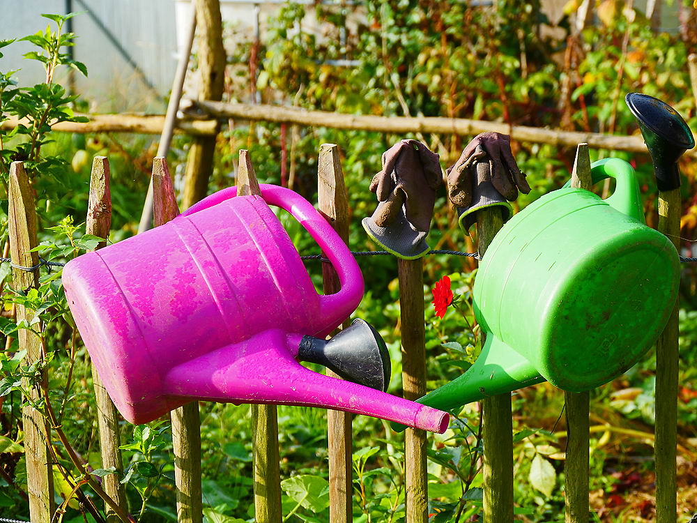 zur &Uuml;bersicht Zaung&auml;ste 7