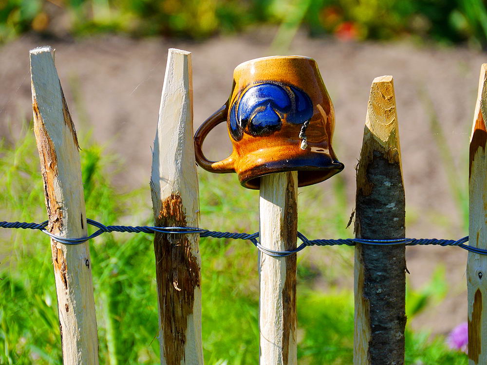 zur &Uuml;bersicht Zaung&auml;ste 7