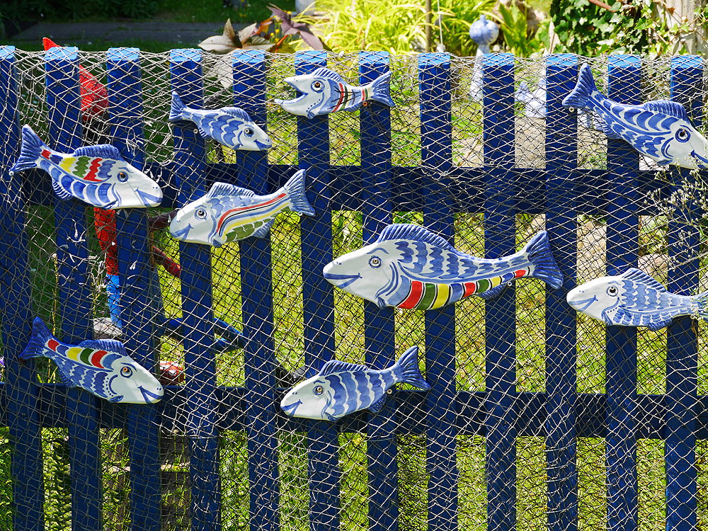 zur &Uuml;bersicht Zaung&auml;ste 8