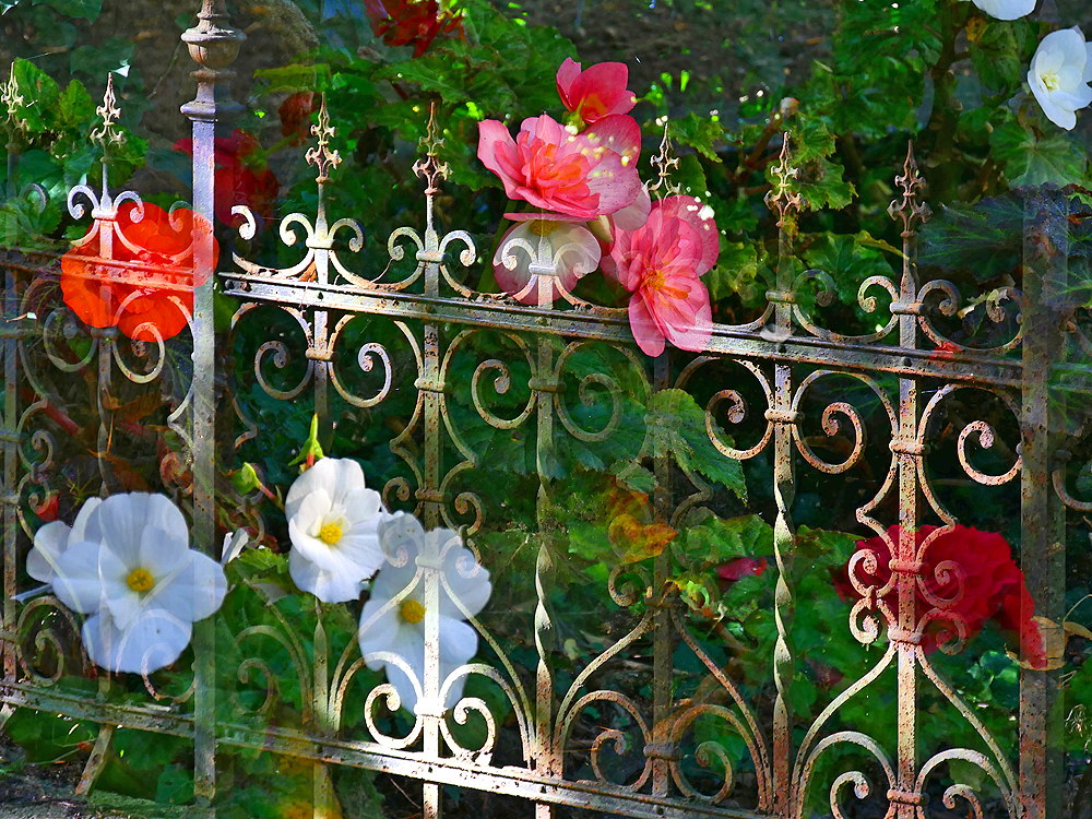 zur &Uuml;bersicht Zaung&auml;ste 8