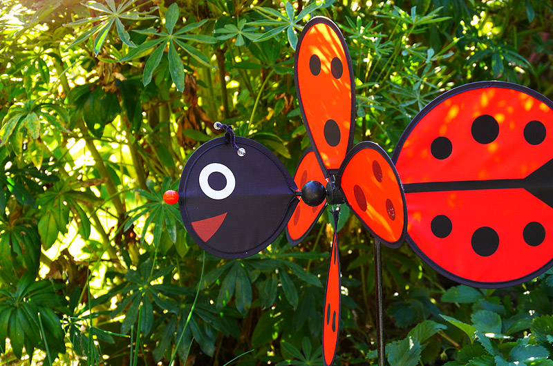 zur &Uuml;bersicht Zum Schmunzeln 4