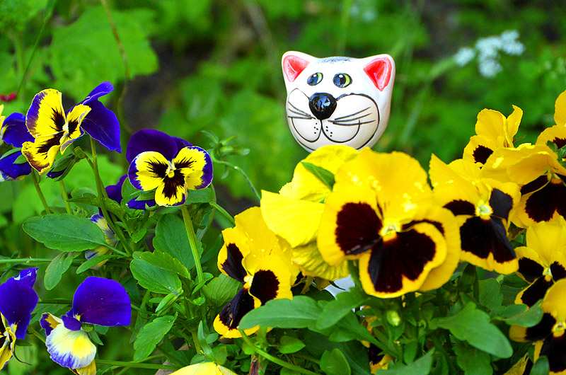 zur &Uuml;bersicht Zum Schmunzeln 4